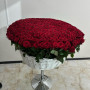 501 красной розы в белой корзине фото 3